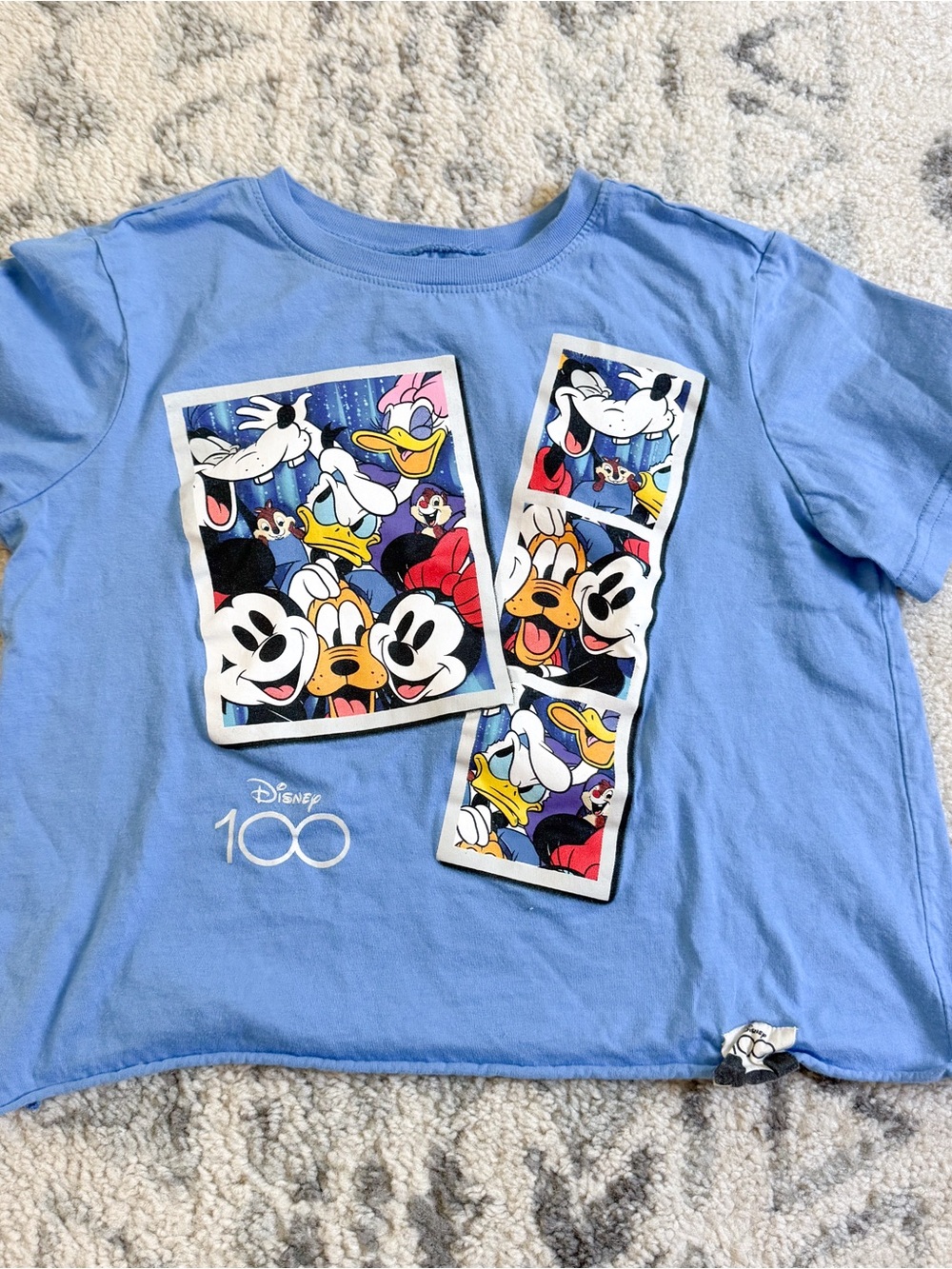 Disney 100 Polaroid Crop